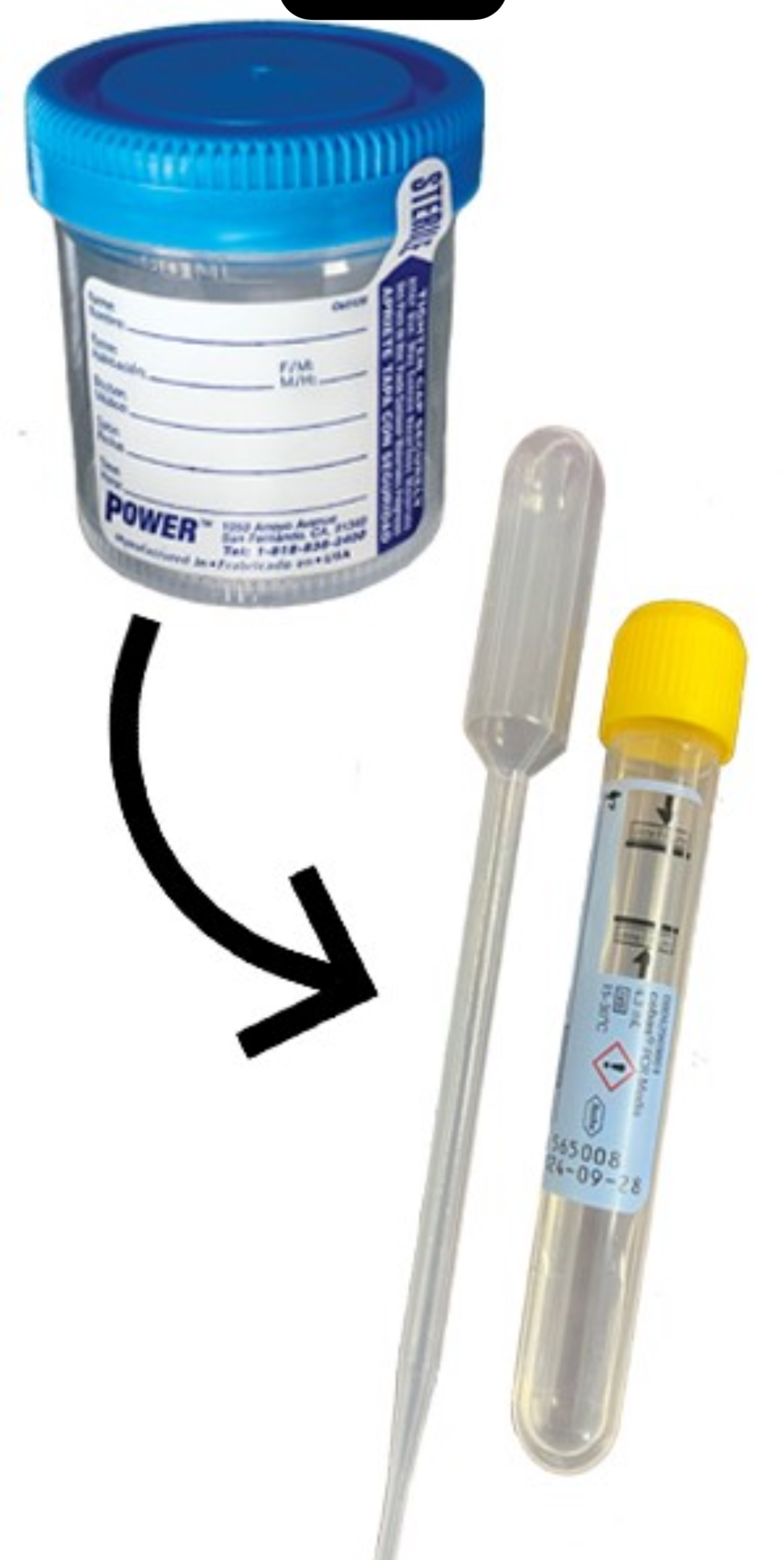 Urine specimen collection kit components-Fast & Easy Mobile Labs